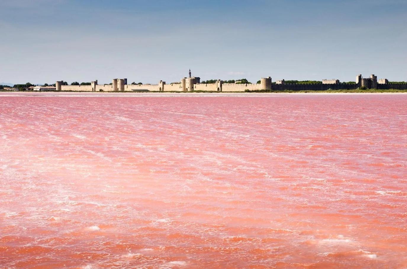 La Villa Mazarin Aigues-Mortes Luaran gambar Saline de Guérande